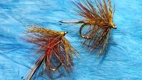 Video thumb for Whalsay Hamill's Spider
