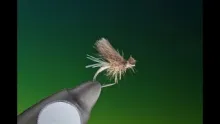 Video thumb for Caddis Emerger
