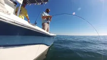Video thumb for The Cape