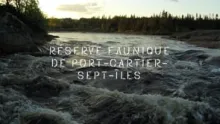 Video thumb for Atlantic Salmon kickoff!