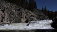 Video thumb for The Greatest Migration
