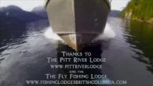 Video thumb for Where the Wild Fish Live