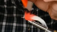 Video thumb for Mini Bunny