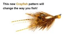Video thumb for Mini McCraw Fly