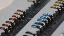 Video thumb for Midge Tubing Larva