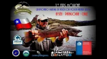 Video thumb for 1er FIPS Mouche WFFC Chile 2014