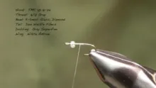 Video thumb for Mercury RS2