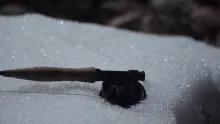 Video thumb for Signs of Spring
