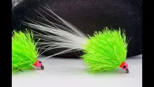 Video thumb for IPN Cat Varient