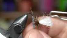 Video thumb for Parachute Adams