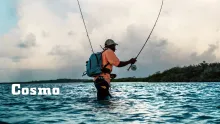 Video thumb for Cosmo