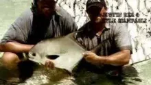 Video thumb for Soulfish