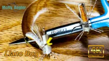 Video thumb for Llano Bug