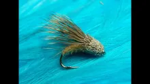 Video thumb for Streaking Caddis