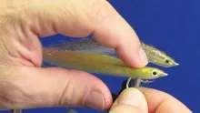 Video thumb for Popovic's Flex Fleye