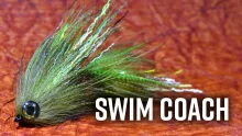 Video thumb for Swim Coach