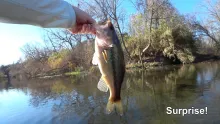 Video thumb for Sometimes even slow days end great!