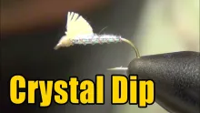 Video thumb for Three Dollar Dip Serendipity