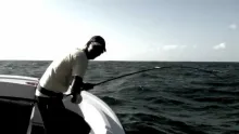 Video thumb for Riding the bulls
