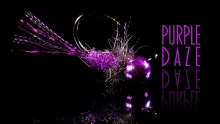 Video thumb for Purple Daze