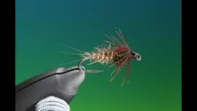 Video thumb for Ubiquitous Nymph