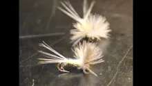 Video thumb for CDC PMD