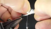 Video thumb for Evening Hair Wings