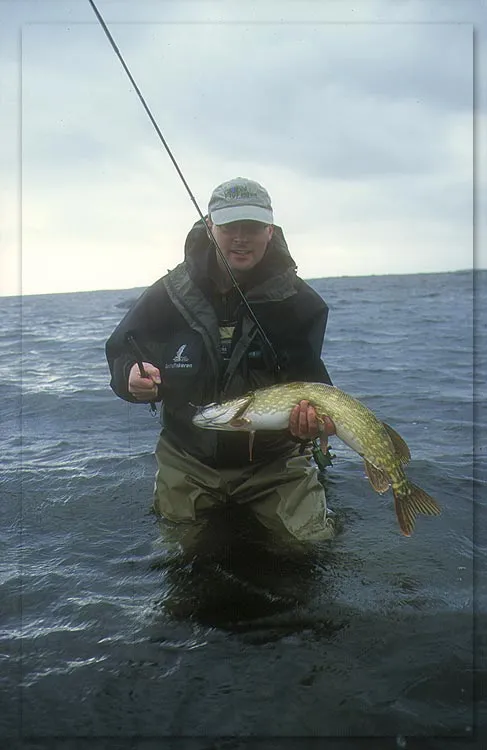 Decent pike - GFF partner Martin Joergensen presenting a decent pike. Not elegant, but then again... these critters have a lot of teeth. This is by the way the last picture ever of that Ketchum Release... a moment later the pike wiggled and the releaser took a lovers' leap into the dark waters of the Baltic never to be found again.